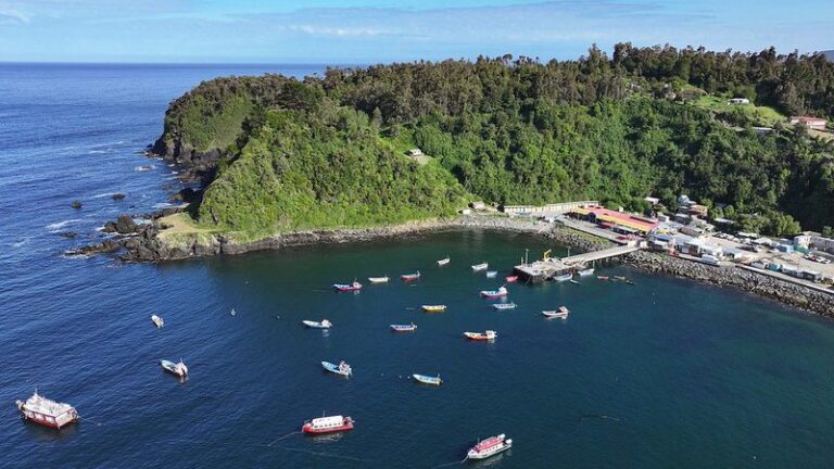 MOP contempla inversión de alrededor de $14 mil millones para el mejoramiento de Bahía Mansa en Los Lagos
