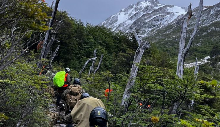 A dos semanas de tragedia en Torres del Paine: Confirman reapertura del Circuito “O” con 