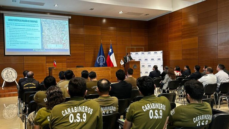 Golpe al crimen organizado: Incautan 475 toneladas de precursores químicos en puertos de Arica e Iquique