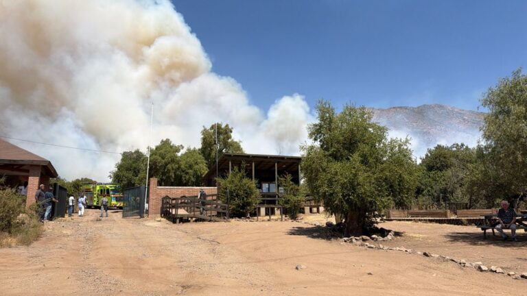 Incendio forestal en San Carlos de Apoquindo consumió al menos 470 hectáreas
