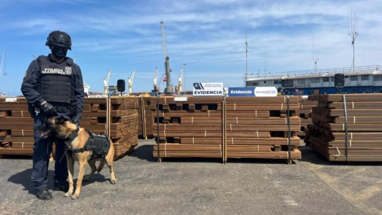 Detectan casi 20 toneladas de madera impregnada con cocaína en Arica