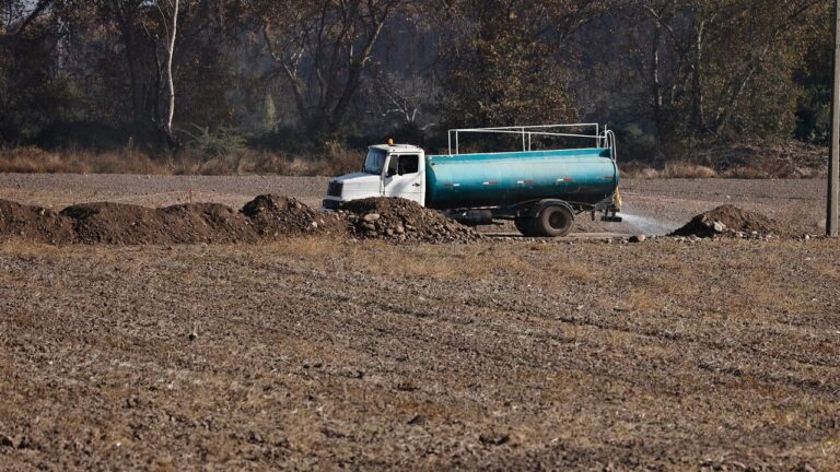 Emiten advertencia agrometeorológica entre Coquimbo y Los Ríos: Temperaturas llegarían hasta 36° C