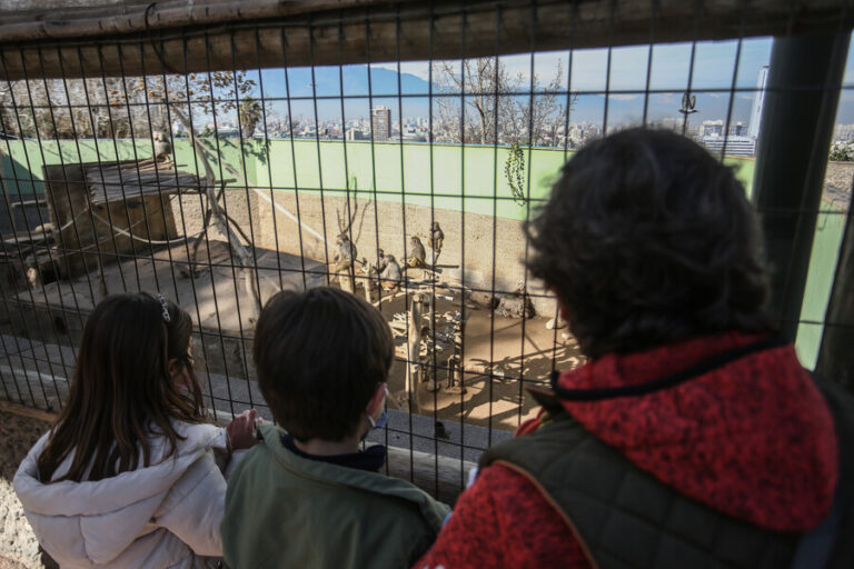 Zoológico Metropolitano reabre sus puertas con entrada gratuita tras casi un año cerrado: Así puedes ingresar