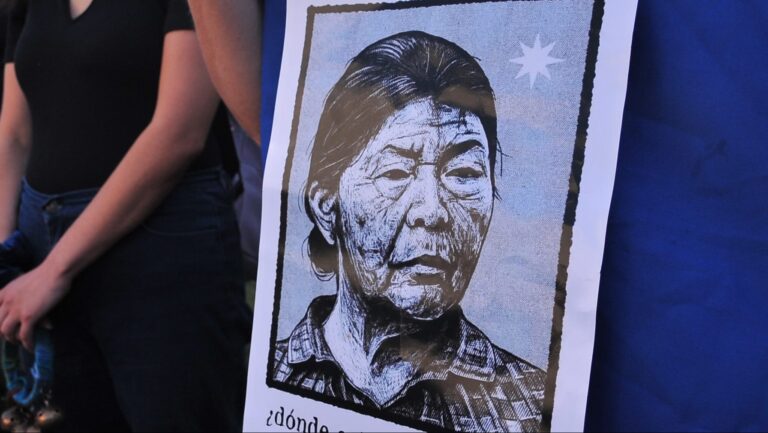 Caso Julia Chuñil: Tribunal amplía por 10 días diligencias de búsqueda en inmueble de Máfil