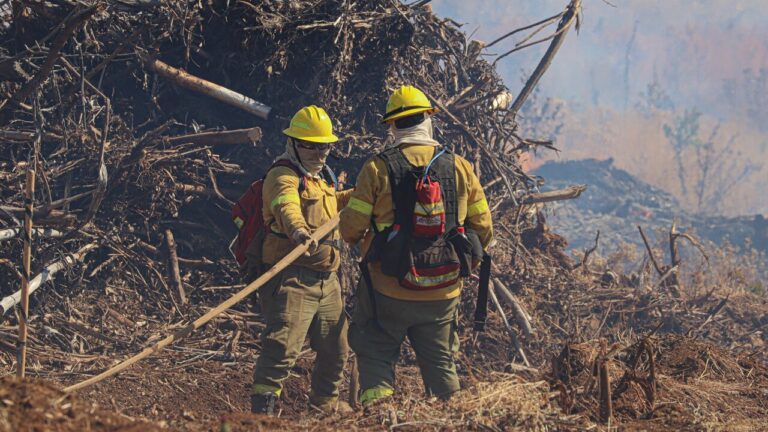 Senado despachó a tercer trámite ley de incendios: Discusión del proyecto continuará en la Cámara Baja