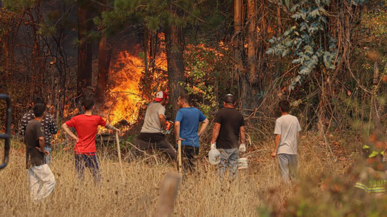Emergencia en Ñuble y Biobío: Fallecidos aumentan a 19 y gobierno califica siniestros como 