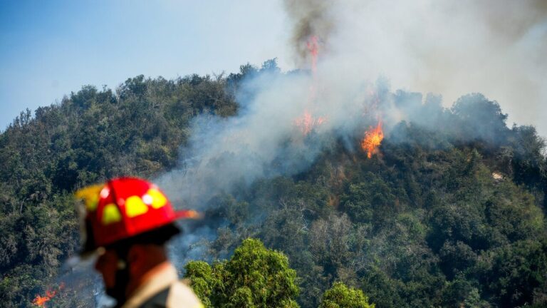 Conaf alerta de posibles incendios forestales en 6 regiones de Chile por altas temperaturas