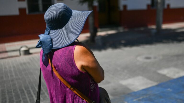 Alerta Roja en la Región de Ñuble por calor extremo: Se pronostican temperaturas de hasta 34° C