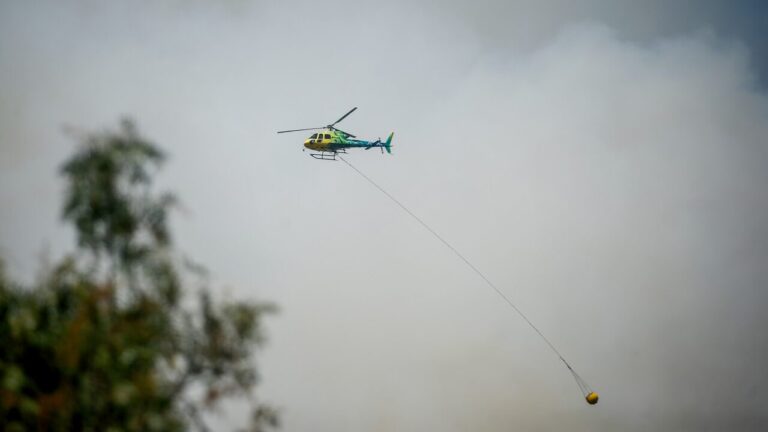 Alerta Roja en Valparaíso por incendio forestal: Senapred llamó a evacuar sector de Laguna Verde
