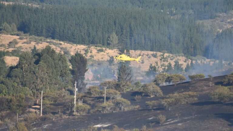 Balance por incendios forestales: Hay tres con alerta roja en la Región de Ñuble