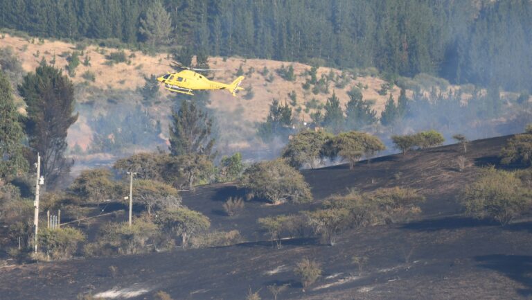 Alerta por 3 incendios forestales activos: Más de 400 hectáreas afectadas en Cauquenes