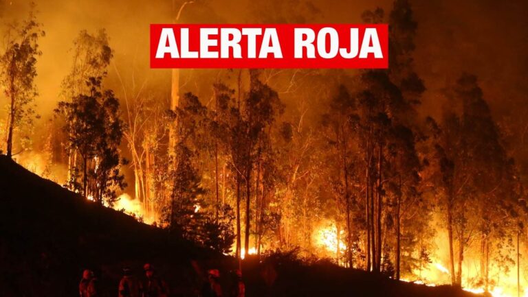 Delegado presidencial de Ñuble reporta cuatro zonas de la región complicadas por incendios forestales