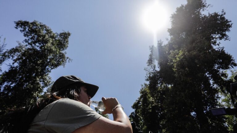 Botón Rojo en O'Higgins: 16 comunas con condiciones críticas que facilitan propagación de incendios forestales