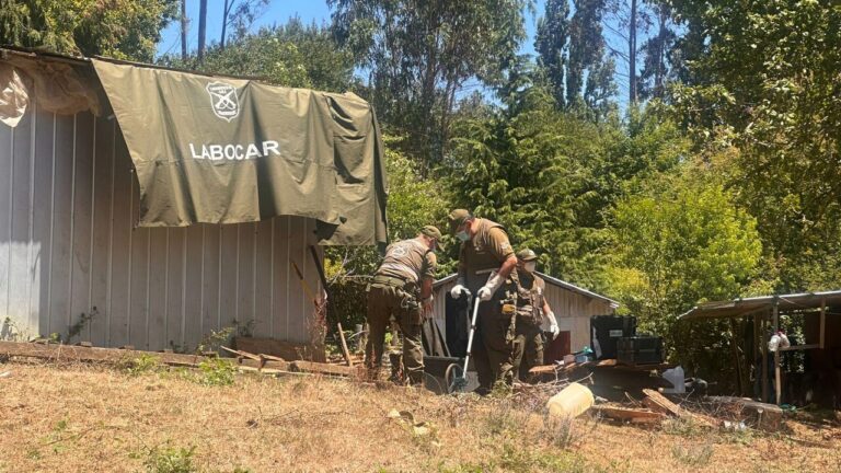 Juzgado de Garantía de Los Lagos accedió a petición para demoler estructuras en predio de Julia Chuñil