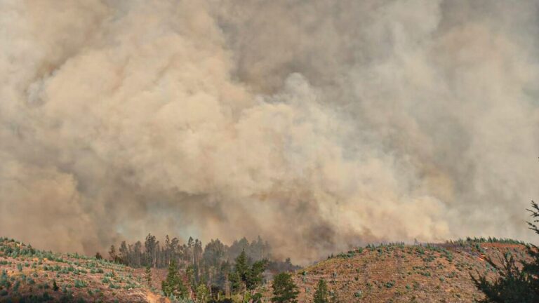 ¿Qué es el viento puelche?: El fenómeno que afecta el combate de incendios en Ñuble y Biobío