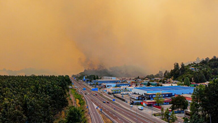 Incendios forestales: Gobernador del Biobío plantea que “la simultaneidad de los focos hace pensar que es intencional”