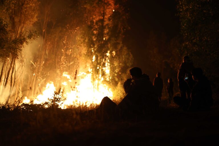 SEA suspende evaluación ambiental de proyecto de tierras raras en Penco tras incendios forestales en Biobío
