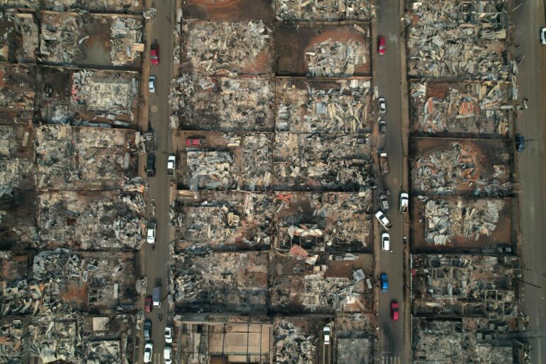 Uruguay lamenta los incendios forestales en Chile: Anunciaron apoyo al Gobierno