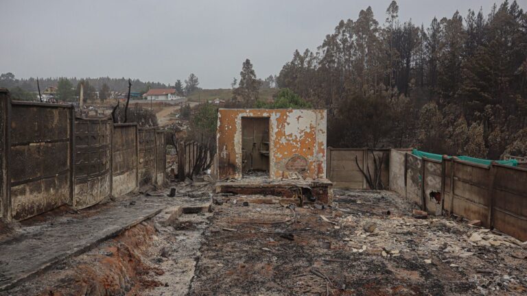 Gobierno anunció bonos para damnificados por incendios forestales en Ñuble y Biobío