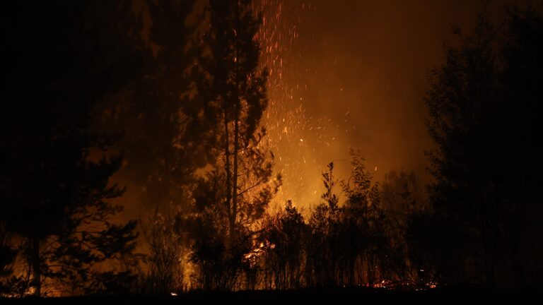 Detienen al presunto autor del origen de los incendios en el Biobío: Pasará a control de detención este viernes