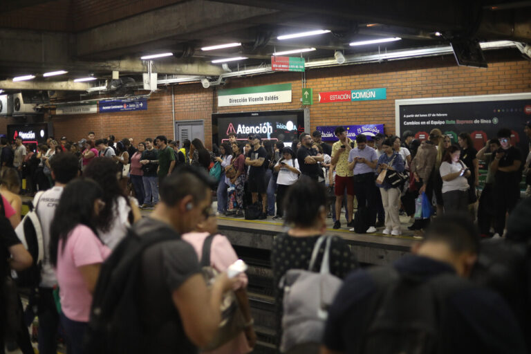 Retraso en Línea 5 del Metro por perrito en la vía: Activan operativo de rescate