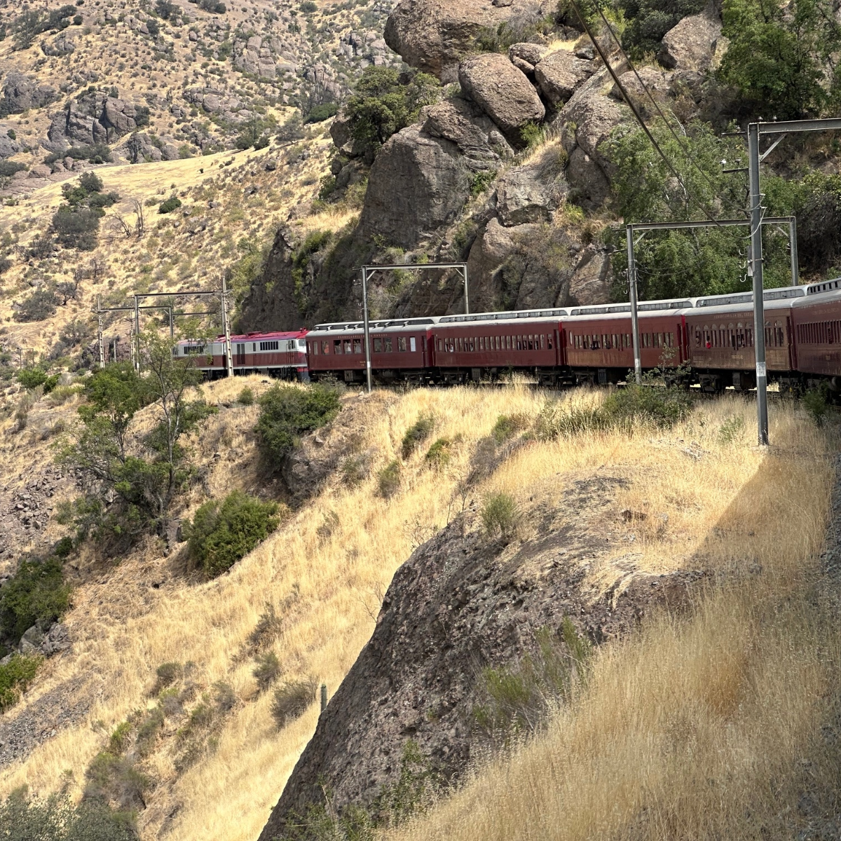 Vuelve el tren Santiago-Temuco para las vacaciones de verano: Revisa precios, horarios y más/Tren del Recuerdo