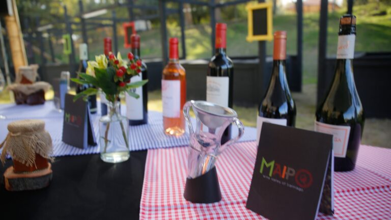 Fiestas de la Vendimia 2026 en Chile: Más de 40 celebraciones desde Arica y Parinacota hasta La Araucanía