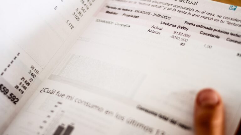 Asociación de Empresas Eléctricas: “Es posible realizar inversiones para mejorar el servicio con un impacto tarifario acotado”