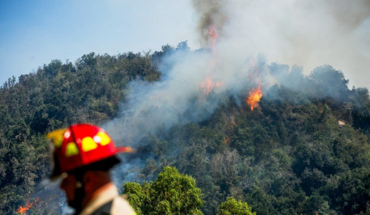 Incendio en Limache y Concón ha consumido cerca de 250 hectáreas: Región de Valparaíso se mantiene bajo alerta amarilla