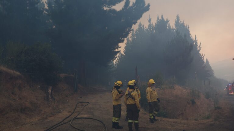 Senapred declara alerta roja y ordena evacuar sector de Lampa por incendio forestal que está cerca de viviendas