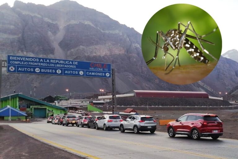 Anuncian cierre temporal del Paso Los Libertadores por hallazgo de mosquito del dengue