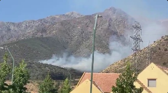 Incendio en la Quebrada de Macul: Bomberos combaten siniestro en cercanías de jardín botánico en Peñalolén