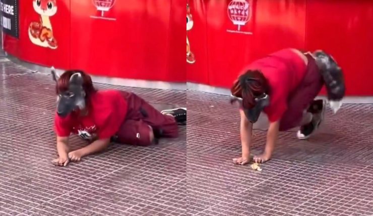 Máscaras, escuelas para aprender y cuatro patas: Todo lo que tienes que saber de los therians, la moda viral en el mundo que ya empieza a 