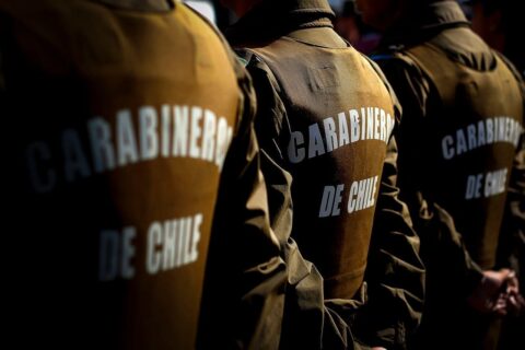 Denuncia por olor a marihuana termina con hallazgo de 57 plantas de cannabis en Puente Alto