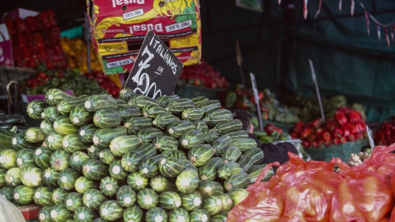 Alza de combustibles: Asociación de Ferias Libres advierte aumento en el precio de las verduras