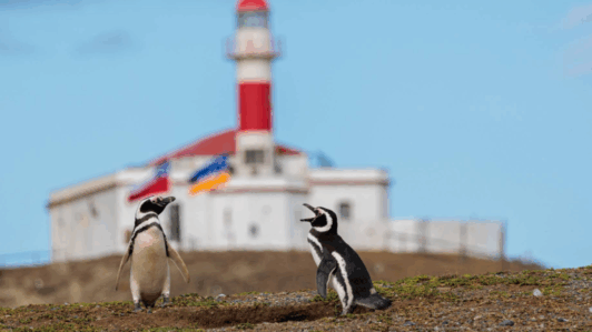 Imagen de Zaccaria Orlando