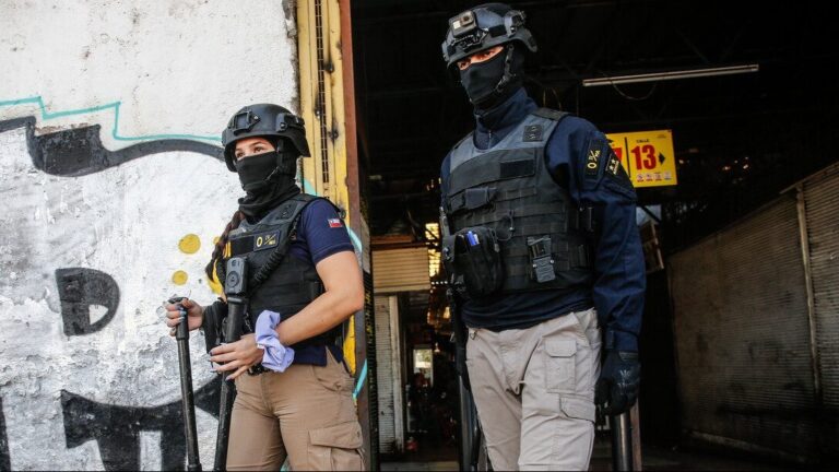 Operativo de control migratorio en Recoleta: Fiscalizan a personas y vehículos en cercanías de La Vega