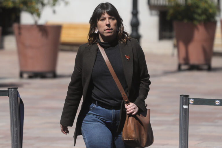 “Es una ley que pasa gato por liebre”: Constanza Martínez por Plan de Reconstrucción Nacional