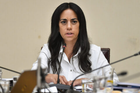 Senadora Núñez insta a 