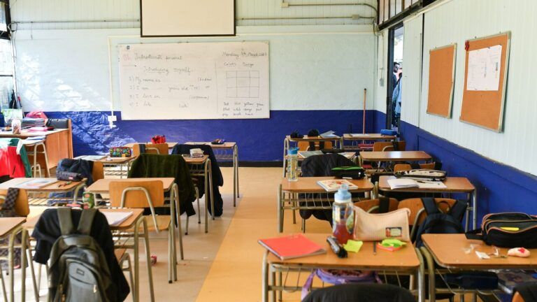 Publican Ley de Convivencia Escolar en el Diario Oficial: Permitirá instalar detectores de metales en colegios