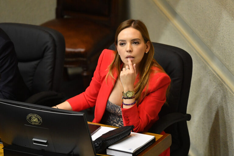 Fiscalía investiga a senadora Camila Flores por denuncia de presunto fraude al fisco