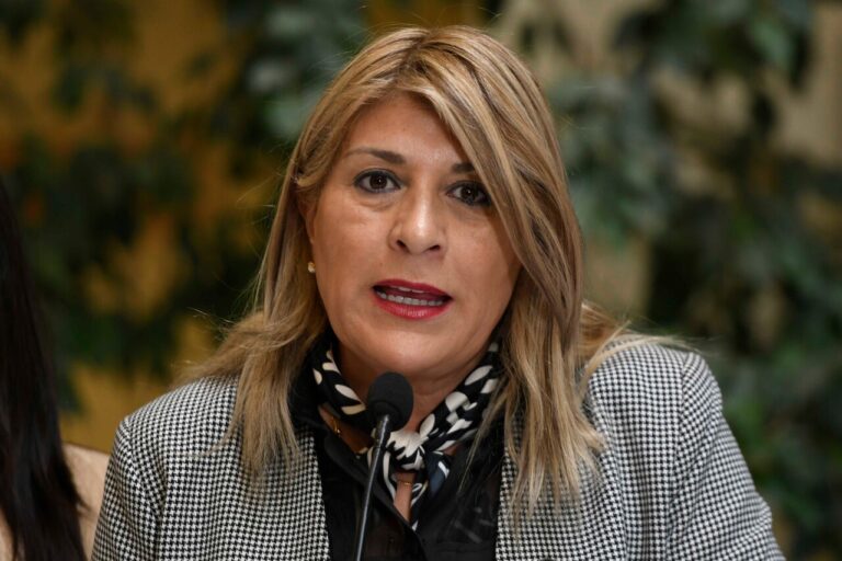 Diputada Parisi valora cierre de investigación por candidatura de Bachelet a la ONU: 