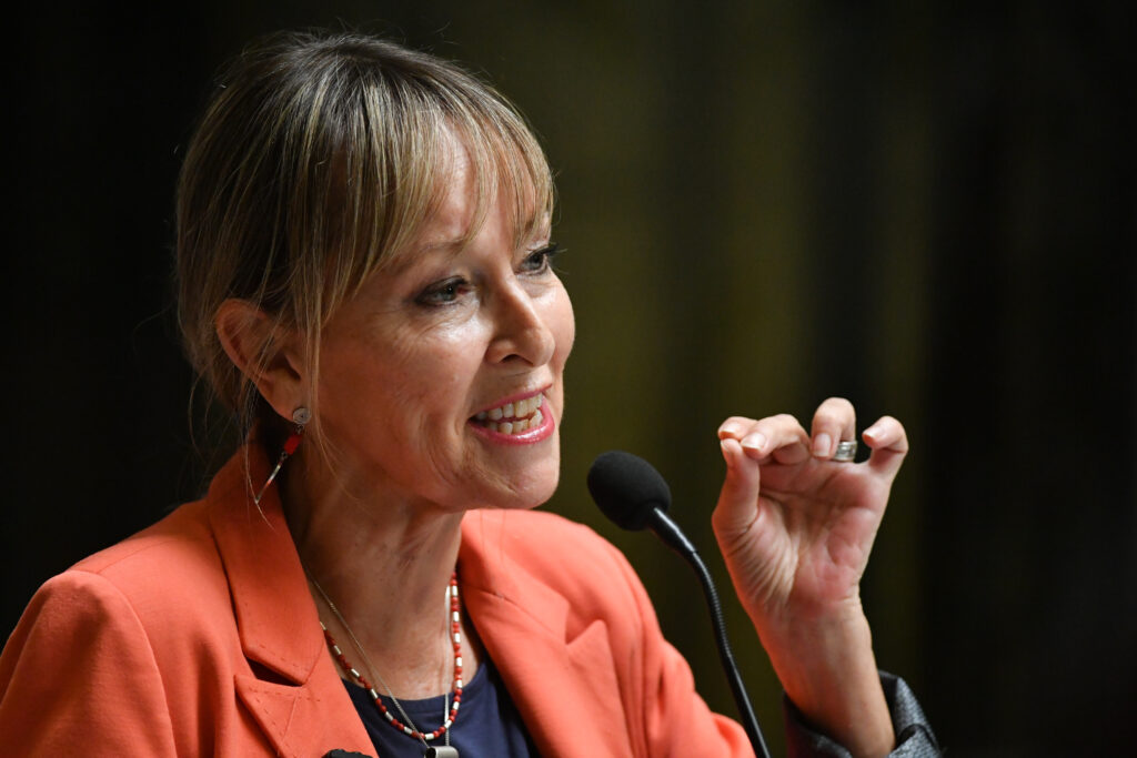 Diputada Ana María Gazmuri anuncia interpelación contra ministro Poduje por orden de demolición en El Olivar