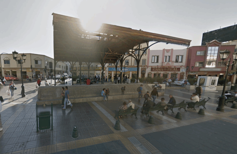 Insólita jornada en la Región de Coquimbo: Persecución a jinete ebrio y detención de sujeto que hizo sus nececidades en plena plaza