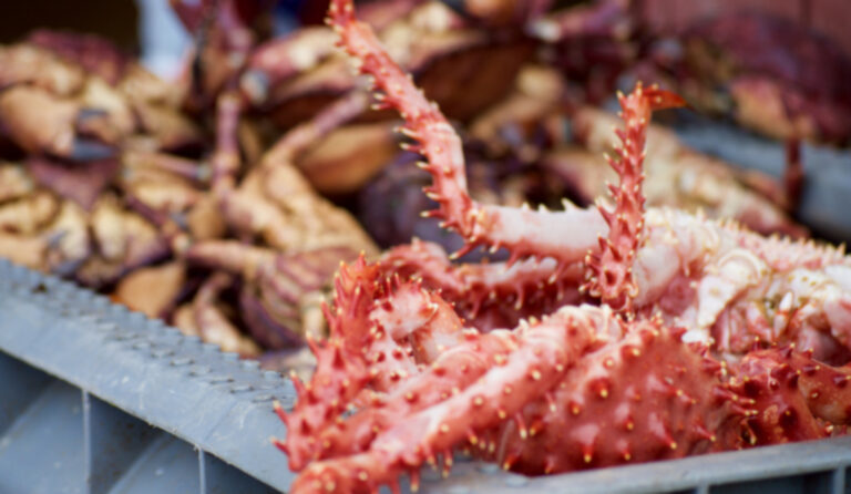 Denunciante de colusión de siete procesadoras de centolla en Magallanes: 