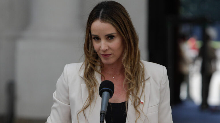 Ministra Mara Sedini declara patrimonio superior a $1.000 millones en bienes raíces y sociedad