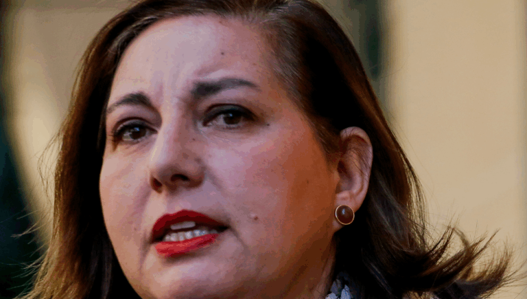 Vodanovic tilda al gobierno de 