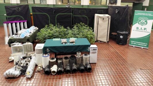 Ñuñoa: Detienen a sujeto que mantenía 42 plantas de marihuana y cannabis dosificada en su casa