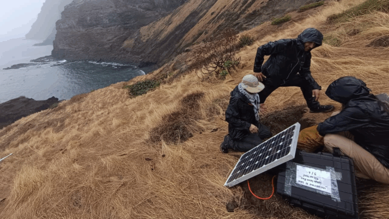 Proyecto de la Universidad de Chile instaló la primera red de sensores sísmicos en la isla Robinson Crusoe
