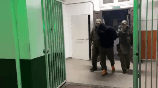 Ñuñoa: Detienen a sujeto que mantenía 42 plantas de marihuana y cannabis dosificada en su casa/Captura Carabineros